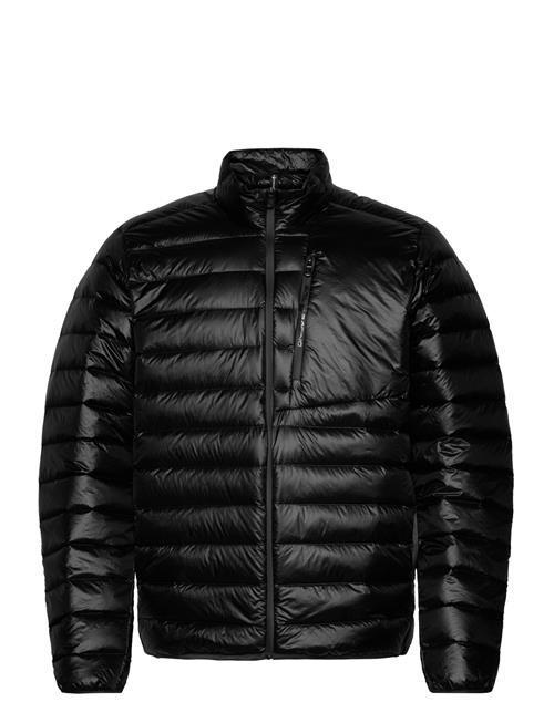 Sail Racing | Flood Ultralight Jacket | L