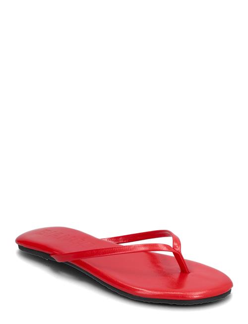 Bianco | Biamexico Flip Flop Faux Leather | 38