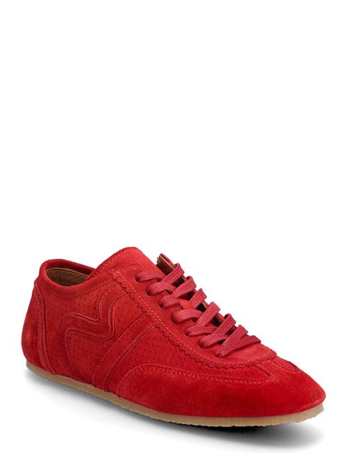 Billi Bi | Sport | 36