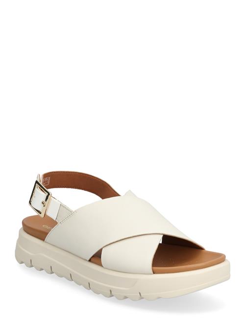 GEOX | D Xand 2.1S E | 41