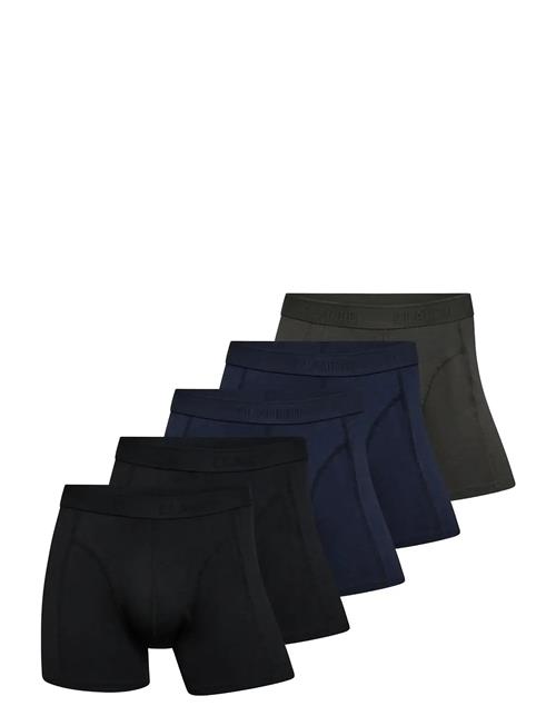 Claudio | Claudio 5-Pack Tights | L
