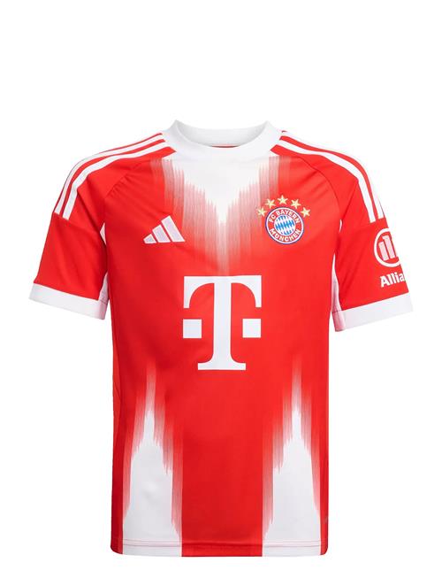 adidas Performance | Fcb H Jsy Y | 140
