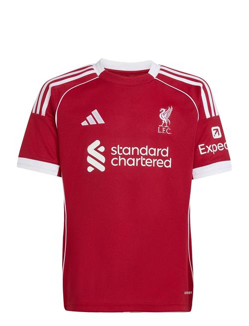 adidas Performance | Lfc H Jsy Y | 140