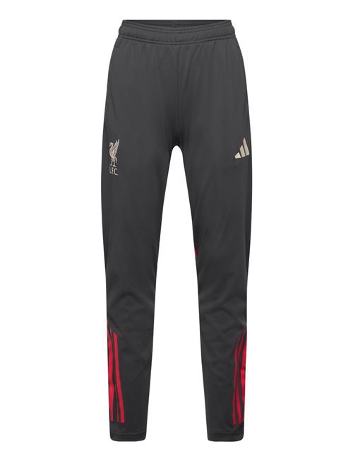 adidas Performance | Lfc Tr Pnt Y | 140
