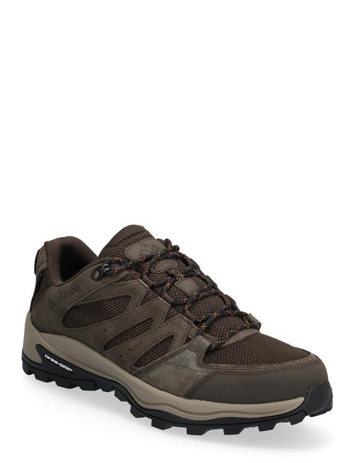 Columbia Sportswear | Redmond Iv Low Waterproof | 43.5