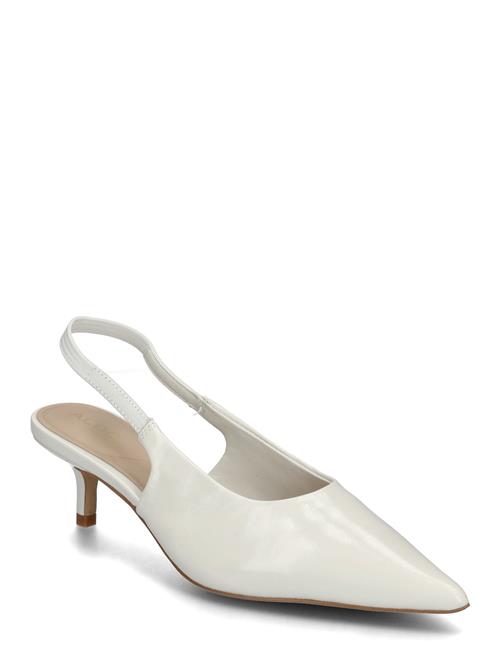 ALDO | Oceweth | 36