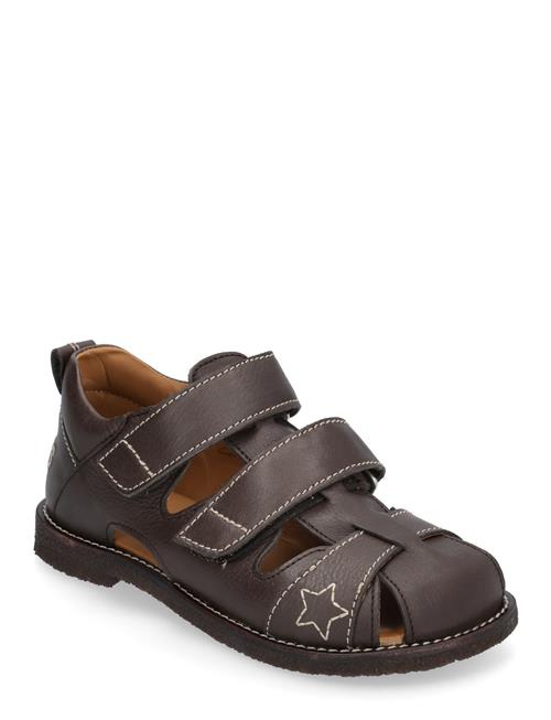 ANGULUS | Sandals - Flat  - Closed Toe | 26