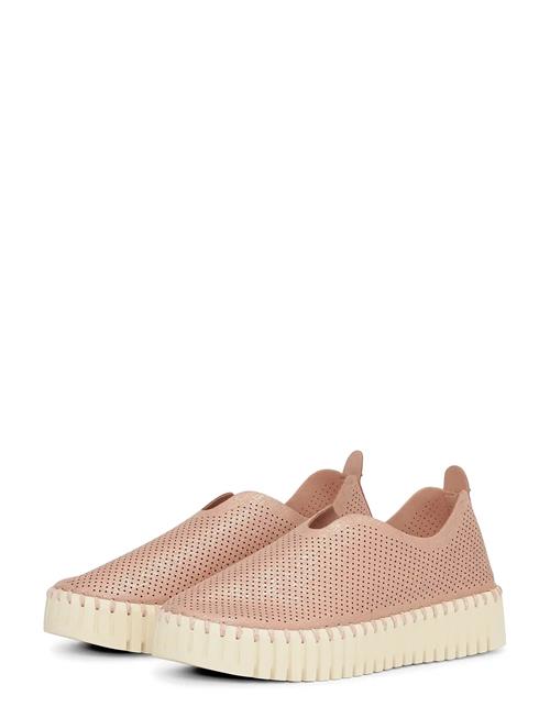 Ilse Jacobsen | Tulip3577 | 36