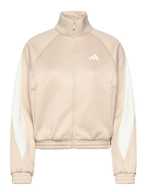 adidas Sportswear | W Stadium Tt | M