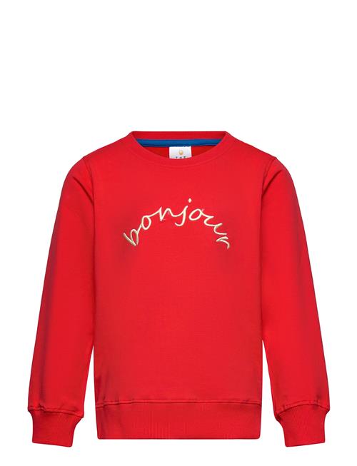 The New | Tnness Sweatshirt | 110/116
