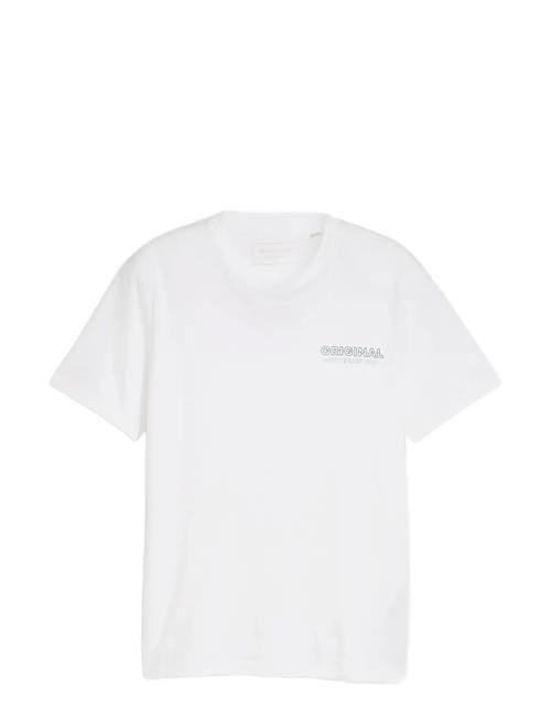 Tom Tailor | Printed T-Shirt | XXL