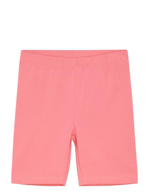 Minymo | Leggings Short | 110