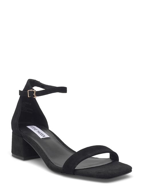 Steve Madden | Gena | 38
