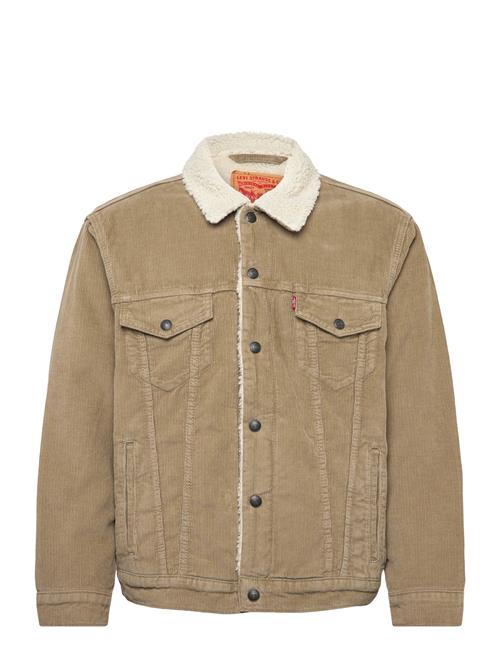 Levi's® | Relaxed Fit Sherpa Trkr Timber | XXL
