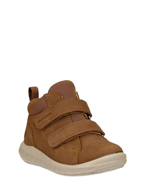 ECCO | Sp.1 Lite Infant | 22