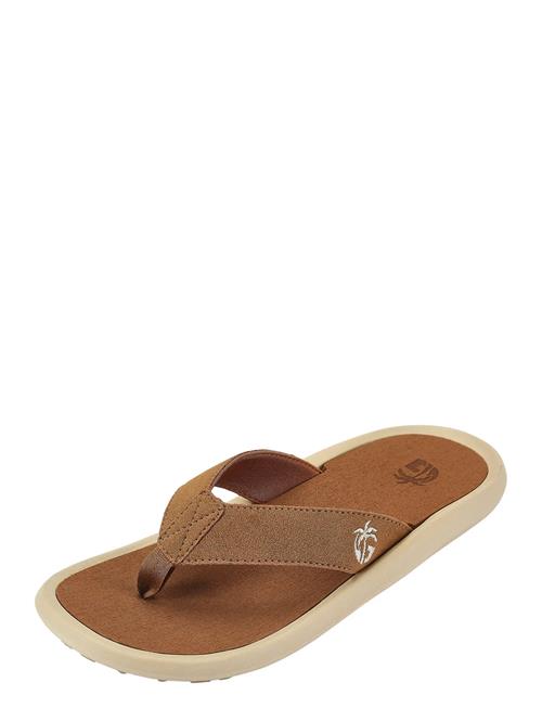 Gumbies | Noosa | 38