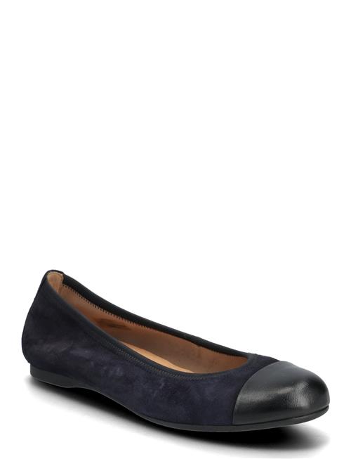 Gabor | Ballerina | 37.5