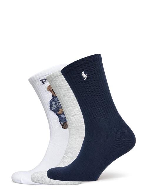 Polo Ralph Lauren | Cotton-Americana Be-Crw-3Pk | ONE SIZE