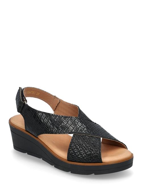 Dasia | Ivy | 39