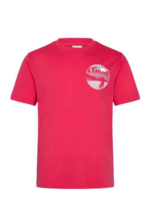 Gant | Graphic T-Shirt | XXXL