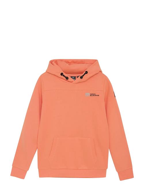 Indian Blue Jeans | Hoodie Kangaroo Pocket | 164