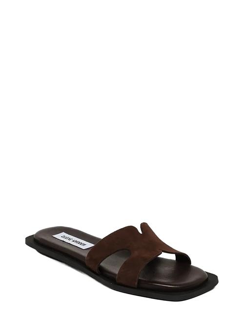 Steve Madden | Sofia | 39