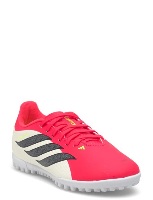 adidas Performance | Predator Club Tf J | 31
