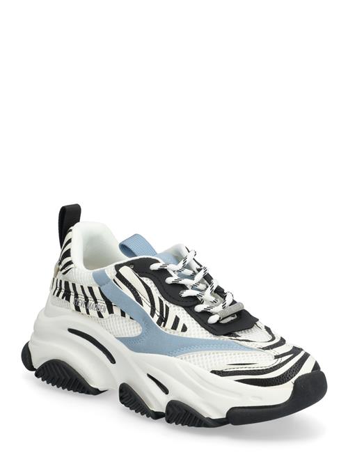 Steve Madden | Possession-E | 36