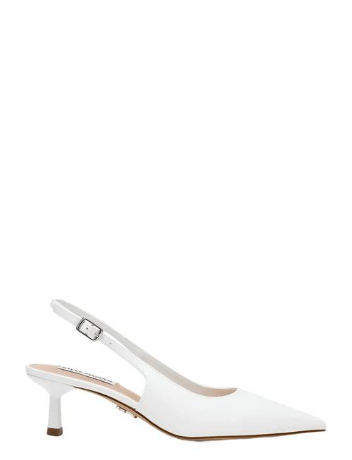 Steve Madden | Korra | 42