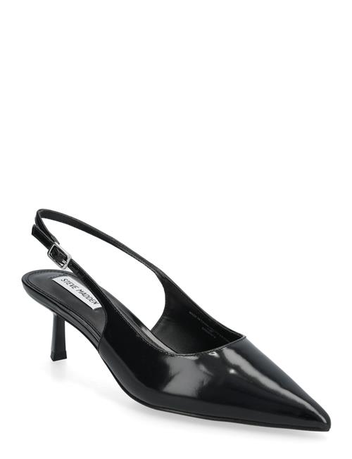 Steve Madden | Korra | 40