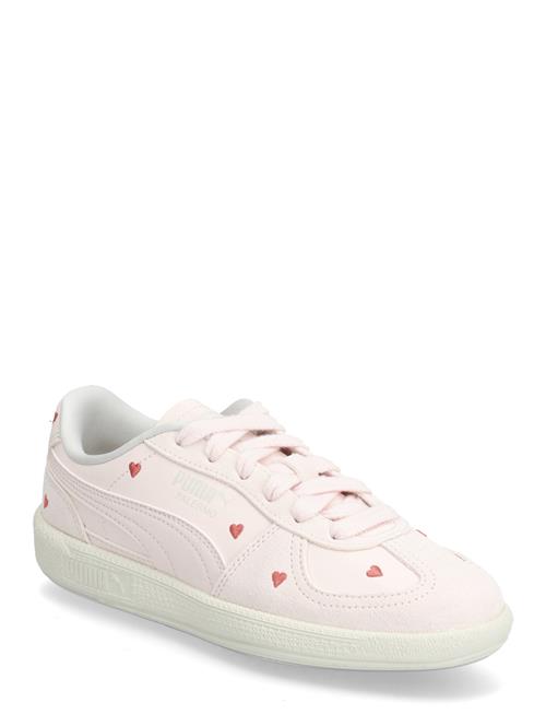 PUMA | Palermo Amor Jr | 39