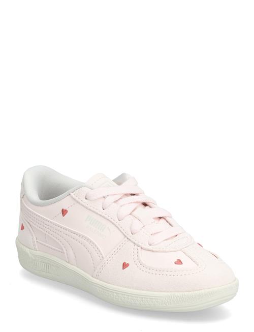 PUMA | Palermo Amor Ps | 33