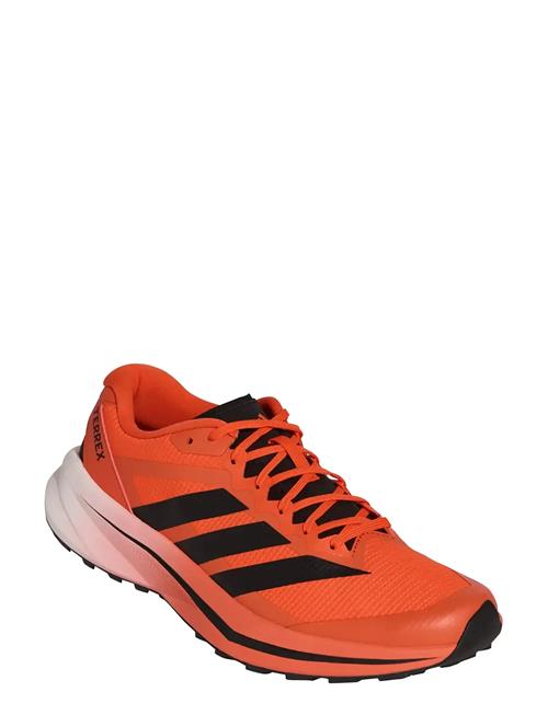 adidas Terrex | Terrex Agravic Lite | 46 2/3