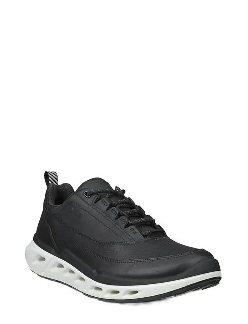 ECCO | Biom 720 W | 36