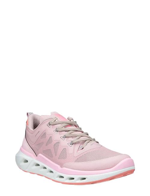 ECCO | Biom 720 W | 37