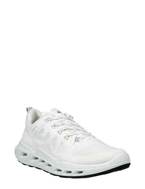 ECCO | Biom 720 W | 40