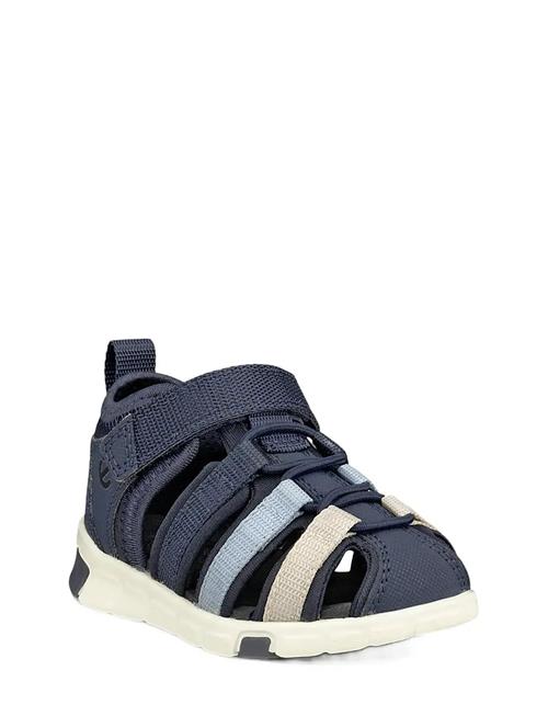ECCO | Mini Stride Sandal | 19