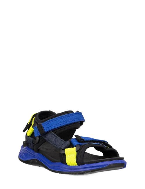 ECCO | X-Trinsic K | 24