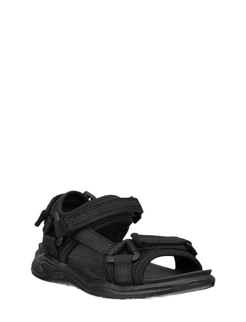 ECCO | X-Trinsic K | 31