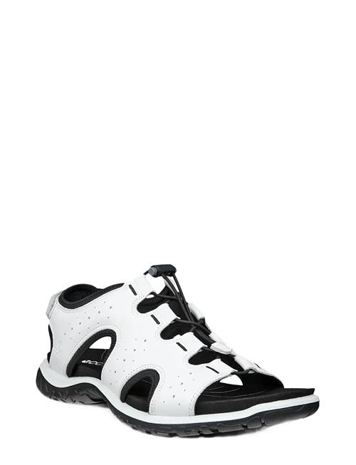 ECCO | Offroad Roam W | 38
