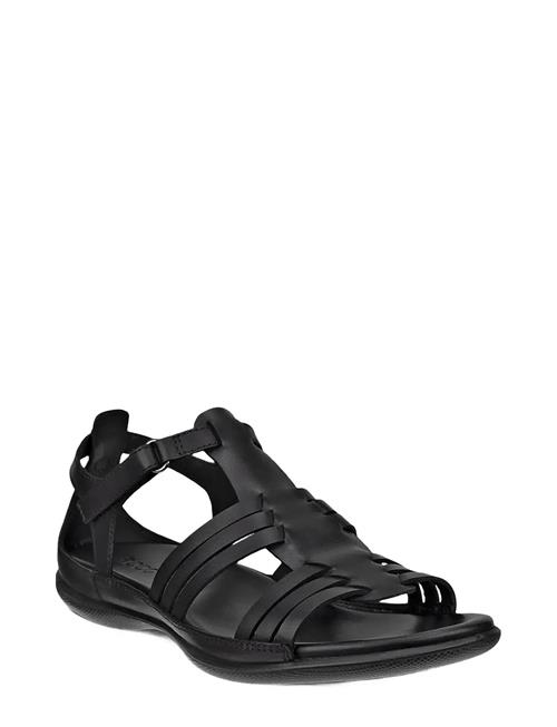 ECCO | Flash | 40