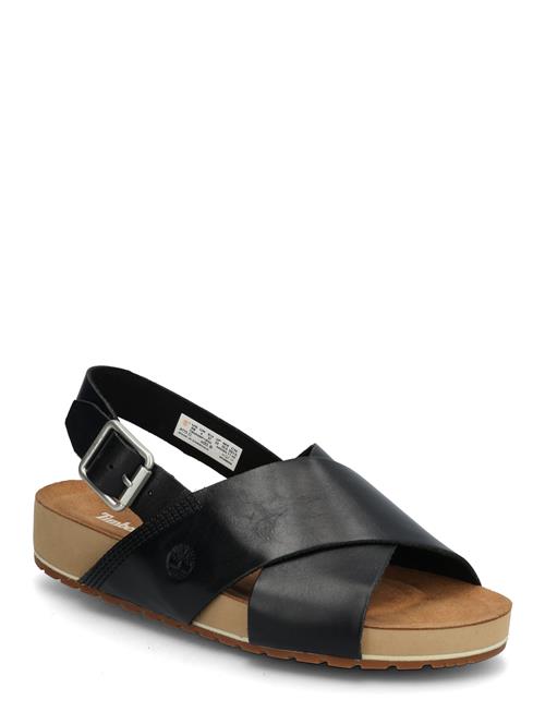 Timberland | Backstrap Sandal | 37
