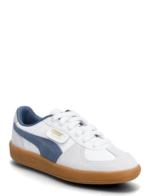 PUMA | Palermo Lth Jr | 38
