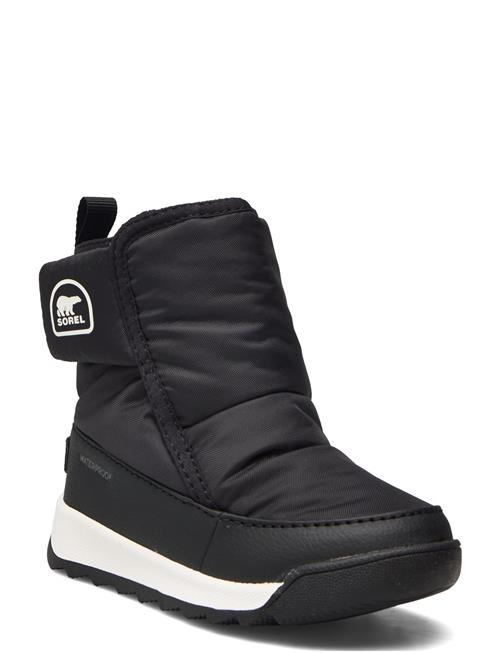 Sorel | Childrens Whitney Ii Plus Bootie Wp | 31