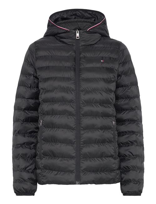 Tommy Hilfiger | Lw Padded Global Stripe Jacket | XXL
