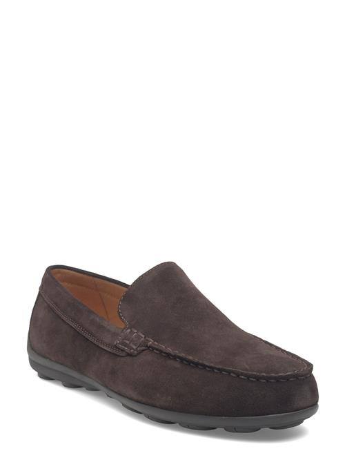 GEOX | U Spherica Ec16 A | 46