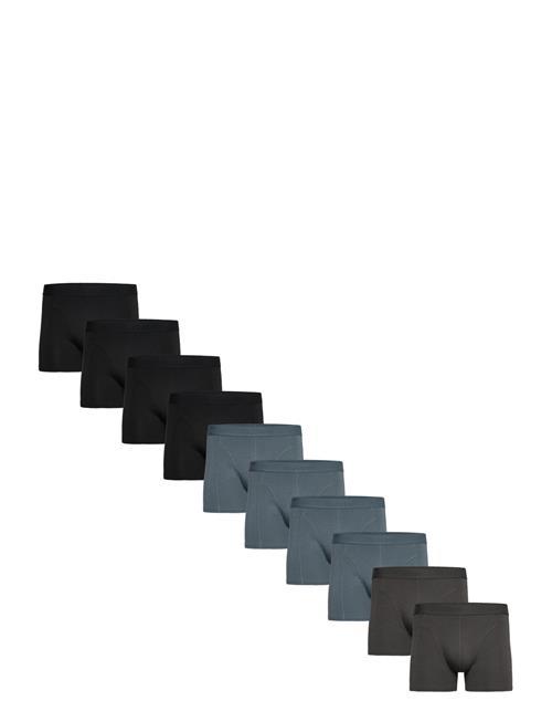 Claudio | Claudio 10-Pack Tights | XL