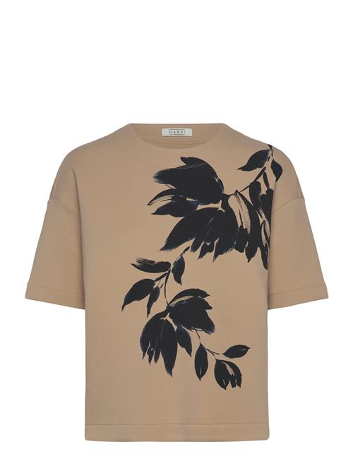 Masai | Madominan | XL