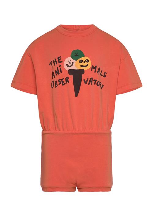 THE ANIMALS OBSERVATORY | Koala Kid Body Salmon | 3 Y
