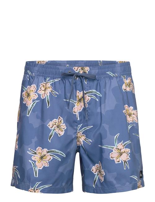 Quiksilver | Everyday Straight Volley 15 | M